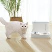 Auto Pet Feeder 2 In 1 Dog Cat Food Water Dispenser Bowl Automatic Gravity Fed for Small Large Pets