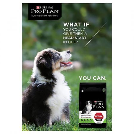 https://img.crazysales.com.au/products_pictures/2784/278465_2370851_F.jpg