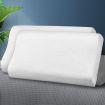 DreamZ 2X Memory Foam Pillow Removable Cover Sleep Down Luxurious B-shape