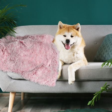https://img.crazysales.com.au/products_pictures/2784/278479_2371061_F.jpg
