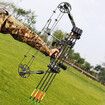 Compound Bow Arrow Set Archery Sports Hunting Target Shooting RH 20-70lbs Adjustable 320fps Speed for Beginner Master Camo