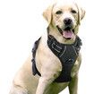 Dog Harness,No-Pull Pet Harness with 2 Leash Clips,Adjustable Soft Padded Dog Vest,Reflective Outdoor Pet Oxford Vest with Easy Control Handle,Large Size,Black
