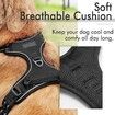 Dog Harness,No-Pull Pet Harness with 2 Leash Clips,Adjustable Soft Padded Dog Vest,Reflective Outdoor Pet Oxford Vest with Easy Control Handle,Large Size,Black