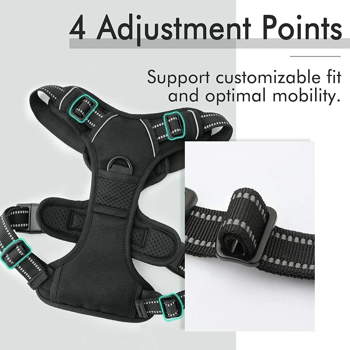 https://img.crazysales.com.au/products_pictures/279/279201_2379375_F.jpg