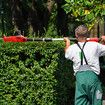 Pole Hedge Trimmer Cordless Electric Extendable Long Reach Telescopic Handle Garden Tool Fast Charger 20V