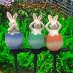 Solar Light Yard Cute Rabbit Decorative Outdoor Waterproof Resin Bunny Statue for Garden, Lawn, Patio,Pathway Pattern random send