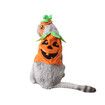 Pet Pumpkin Costume for Cats and Small Dogs Party Halloween Cosplay