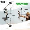 Compound Bow Arrow Archery Equipment Set Sports Hunting Target Shooting 20-55lbs Right Handed for Beginner Master Camo