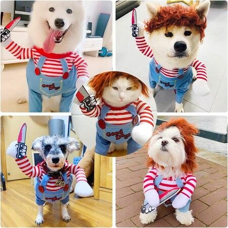 Funny large dog costumes hotsell