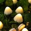 Outdoor Solar Garden Lights, 5M 12 Mini Solar Mushroom Lights for Yard Patio (Warm White)