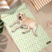 PaWz Pet Cooling Mat Cat Dog Gel Non-Toxic Bed Pillow Sofa Self-cool Summer XL