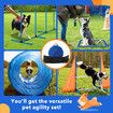 Dog Agility Equipment Obstacle Training Course 7 Set Pet Toys Supplies Hurdle Jump Tire Tunnel Pause Box Weave Poles Frisbees Balls Carry Bags