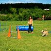 Dog Agility Equipment Obstacle Training Course 7 Set Pet Toys Supplies Hurdle Jump Tire Tunnel Pause Box Weave Poles Frisbees Balls Carry Bags