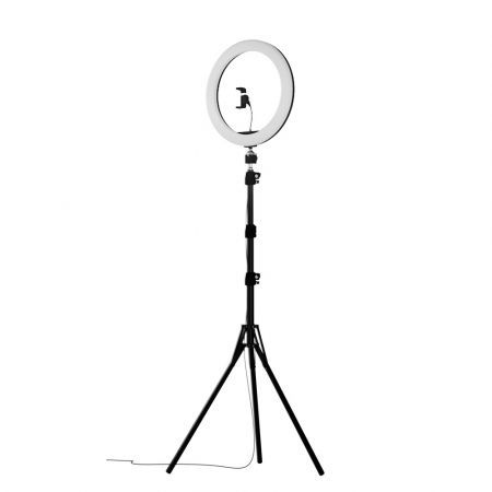 Embellir Ring Light 10" Tripod Stand