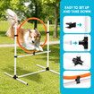 5PCS Dog Agility Equipment Set Pet Obstacle Course Hurdle Jump Training Exercise Supplies Toys Sports High Hoop Weave Pole Pause Box with Bag