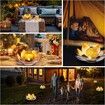 Solar Light Outdoor Metal Glass Decorative Waterproof Garden Light LED Lotus Flower Table Lamp (Orange)