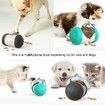 Treat Dispensing Dog Toy Tumbler Dog Cat Food Dispenser Feeder Ball Toys Interactive Chase Toys for Pets(Black)