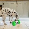 Treat Interactive Dog Toys Dog Treat Puzzle Dispensing Dog Toys Puppy Slow Feeder Toys for Small and Medium Dogs(Green)