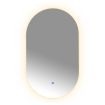 EMITTO LED Wall Mirror Oval Anti-fog Bathroom Mirrors Makeup Light 50x75cm