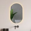 EMITTO LED Wall Mirror Oval Anti-fog Bathroom Mirrors Makeup Light 50x75cm