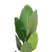 Lambu 160cm Artificial Plants Tree Room Garden Indoor Outdoor Fake Home Decor x2