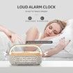 Bluetooth Speaker with Alarm Clock Wireless Charger LED Night Light FM Radio Portable Home Audio