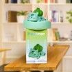 Limited Action Mini Dolls Sleeping, Desk & Car Decoration, Classic Cartoon Model, Collectible Vinyl Figure (Bulbasaur)