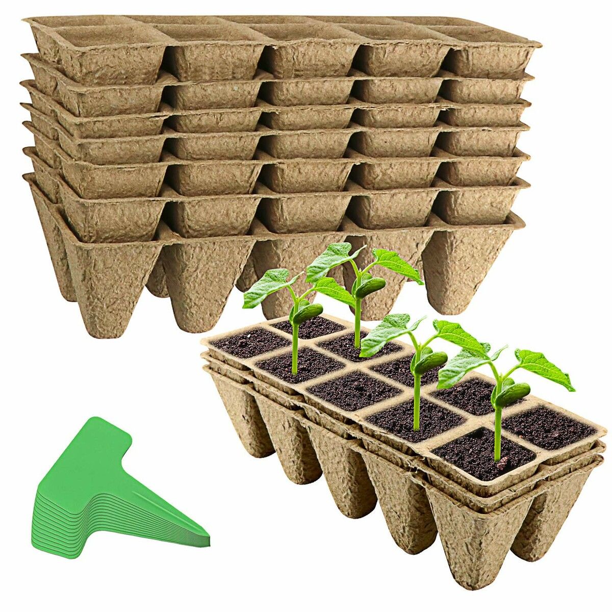 https://img.crazysales.com.au/products_pictures/285/285489_2447999_F.jpg