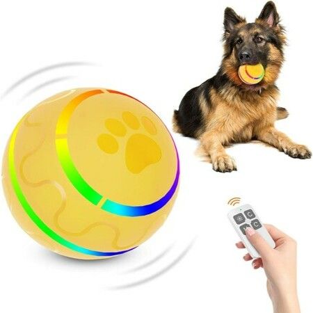 dog remote ball