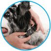 Dog Bark Collar Vibration Beep Small, Medium & Large Dogs Breeds Training No Remote 11-110 lbs