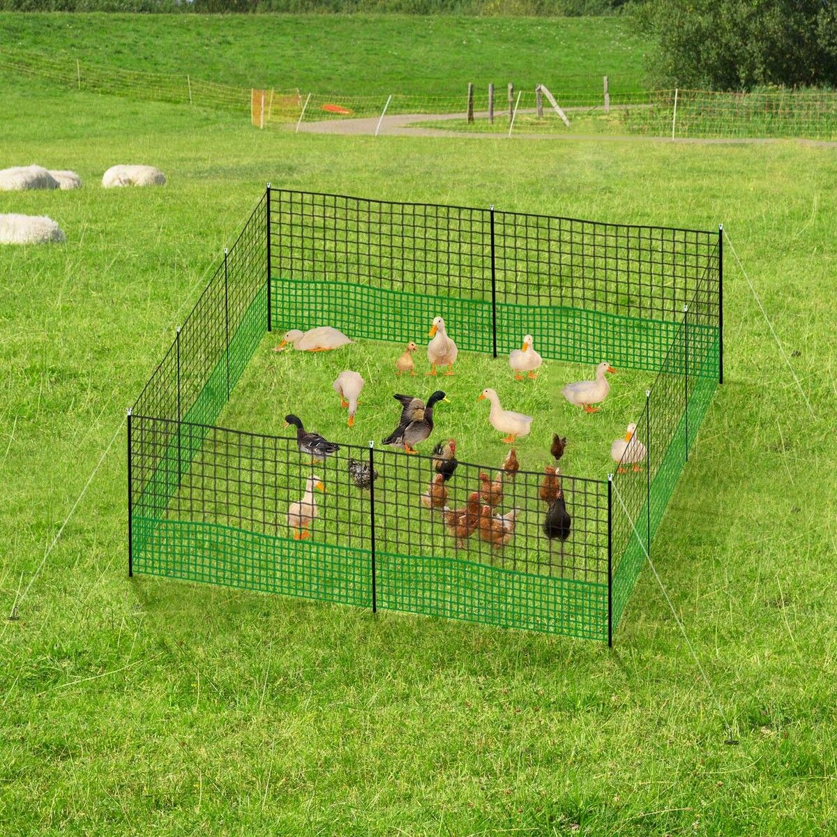 Chicken Coop Cage Pen Run Hen House Chook Fence Poultry Enclosure Mesh Net  Hutch Habitat Netting Yard Farm Fencing 3000x125CM