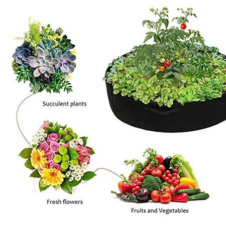 https://img.crazysales.com.au/products_pictures/286/286095_2455149_F.jpg