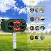 Solar Ultrasonic in Repeller Rat Squirrel Dog Cat Waterproof with Motion Detector