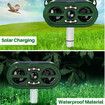 Solar Ultrasonic in Repeller Rat Squirrel Dog Cat Waterproof with Motion Detector