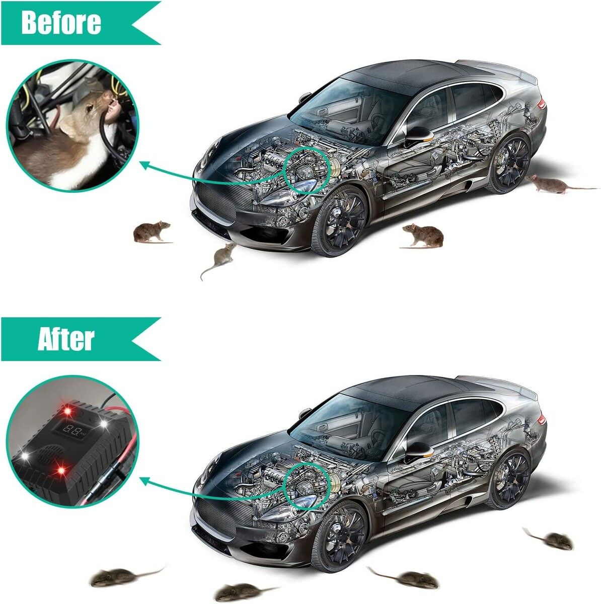 https://img.crazysales.com.au/products_pictures/286/286337_2458415_F.jpg