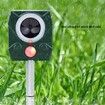 Solar Power Ultrasonic Pest Control Animal Repeller