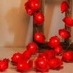 6M 40 LED Rose Lights Valentine Garland with Lights Battery Operated,  Red Rose Flower String Lights, Valentines Day Decorations