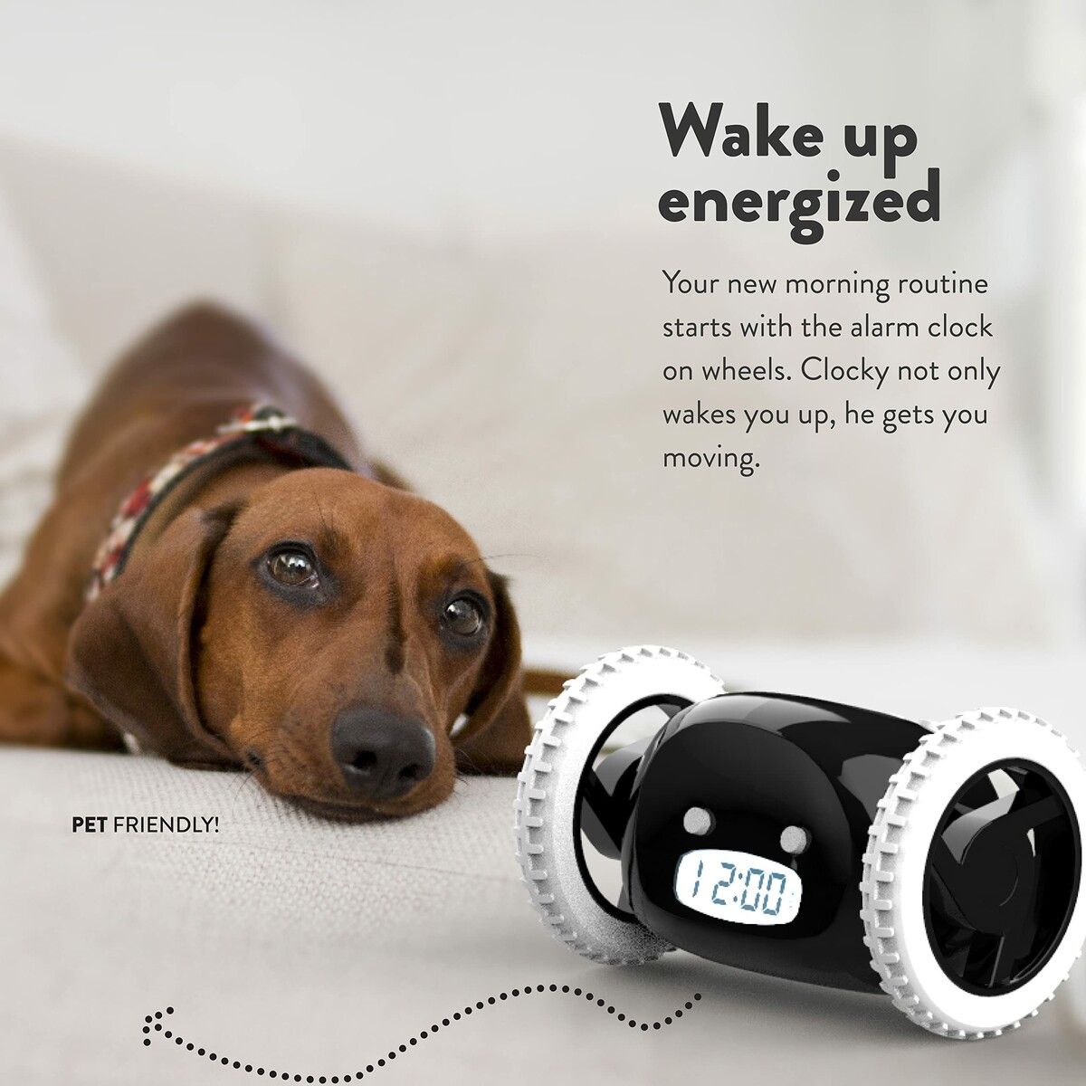 https://img.crazysales.com.au/products_pictures/286/286833_2464855_F.jpg
