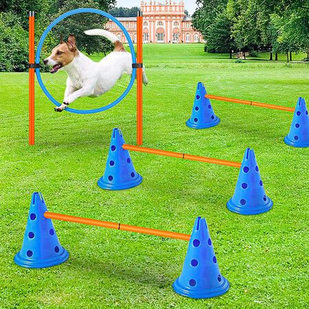 Dog agility cheap cones