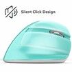 Wireless Ergonomic Mouse Rechargeable Small Silent Vertical Mouse with BT 4.0 for Laptop PC Computer Notebook(Green)