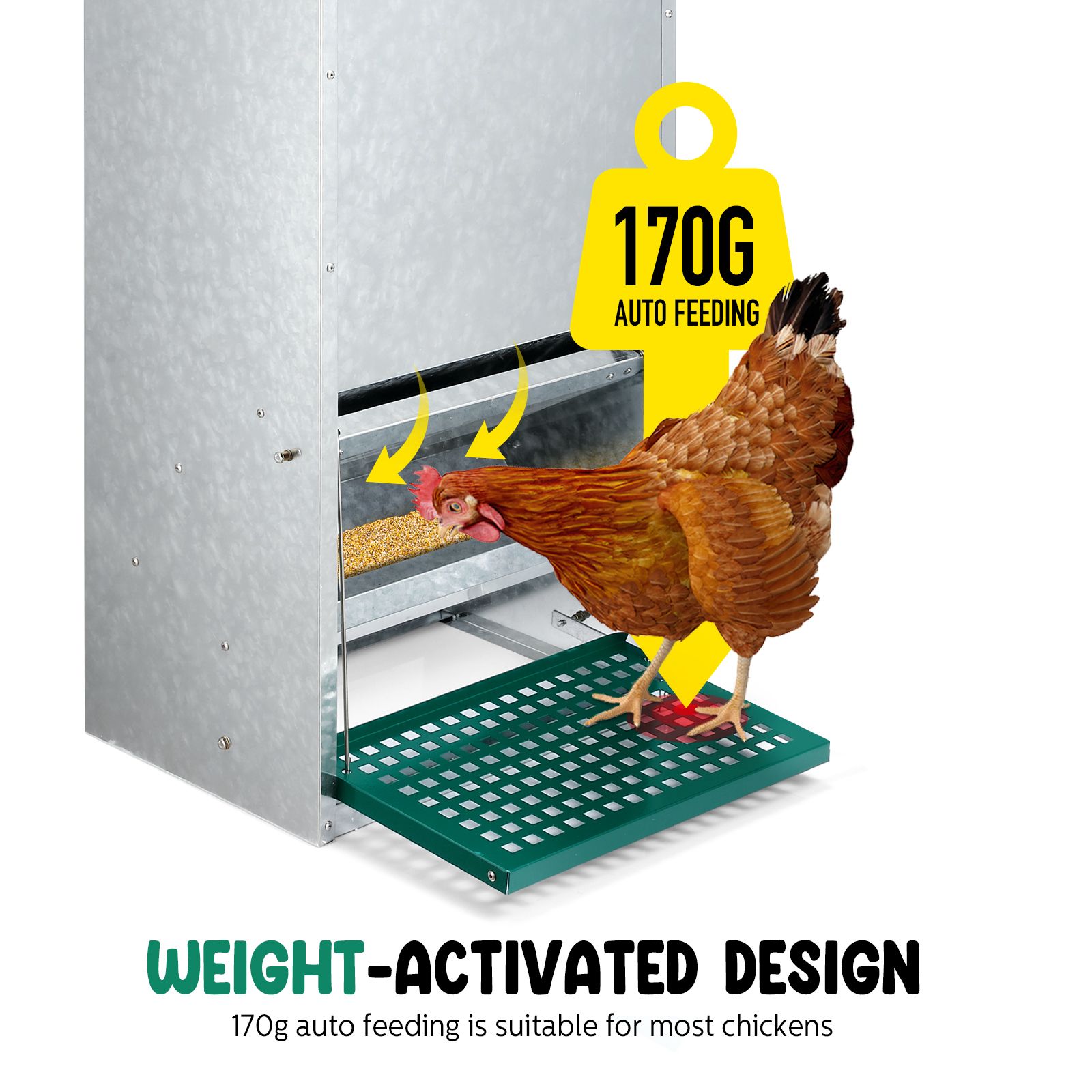 Auto Chicken Feeder Automatic Poultry Treadle Hens Rabbit Chook Food