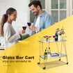 Gold Bar Cart Coffee Trolley Serving Drinks Liquor Tea Wine Cocktail Alcohol Whiskey Trolly Beverage 4 Rolling Wheels 2 Trays Mirrored Glass