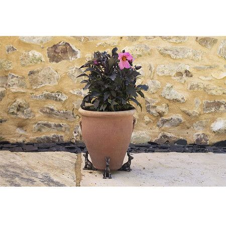 https://img.crazysales.com.au/products_pictures/287/287947_2475871_F.jpg