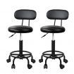 Artiss 2X Salon Stool Swivel Backrest Chair Barber Hairdressing Hydraulic Lift