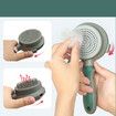 Pet Hair Removal Comb Brush Green