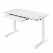 Electric Standing Desk Sit Stand Up Table Height Adjustable Motorised Rising White Computer Office Tempered Glass Top Wireless USB