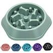 Slow Feeder Dog Bowl Anti-Chocking Slower Feeding Puzzle Bowl, Interactive Bloat Stop Food Dishes Non-Slide Lick Treat for Small Medium Dogs (Green)