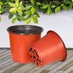 Lambu 100X Plastic Plant Pots Flowers Garden Nursery Seeding Growing Container