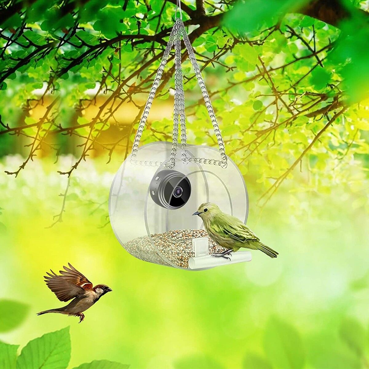 Smart Bird Feeder with Camera, Weatherproofing Bird Watching Camera