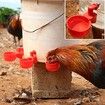 Chicken Water Cups, 6pcs Automatic Chicken Water Feeder, Poultry Waterer Kit Suitable for Chicks, Duck, Goose, Turkey and Bunny